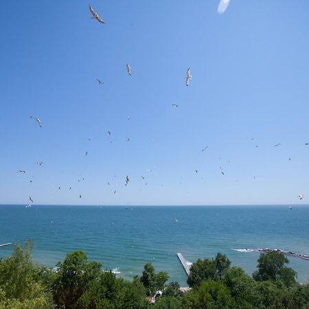 Bisser Hotel - Free Parking - Free Pool Access Balchik Esterno foto